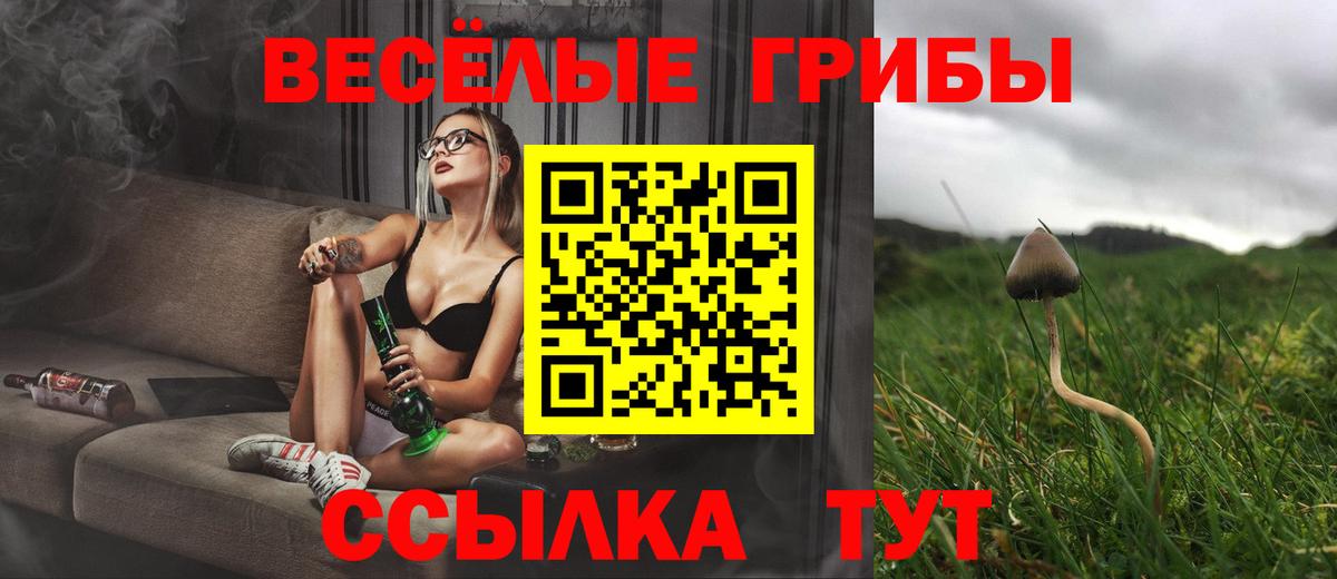 Псилоцибиновые грибы мухоморы  Вход с VPN  Крымск 